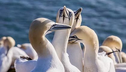 KaiyunSports-开云体育：点亮运动的新纪元，与你一起奔跑